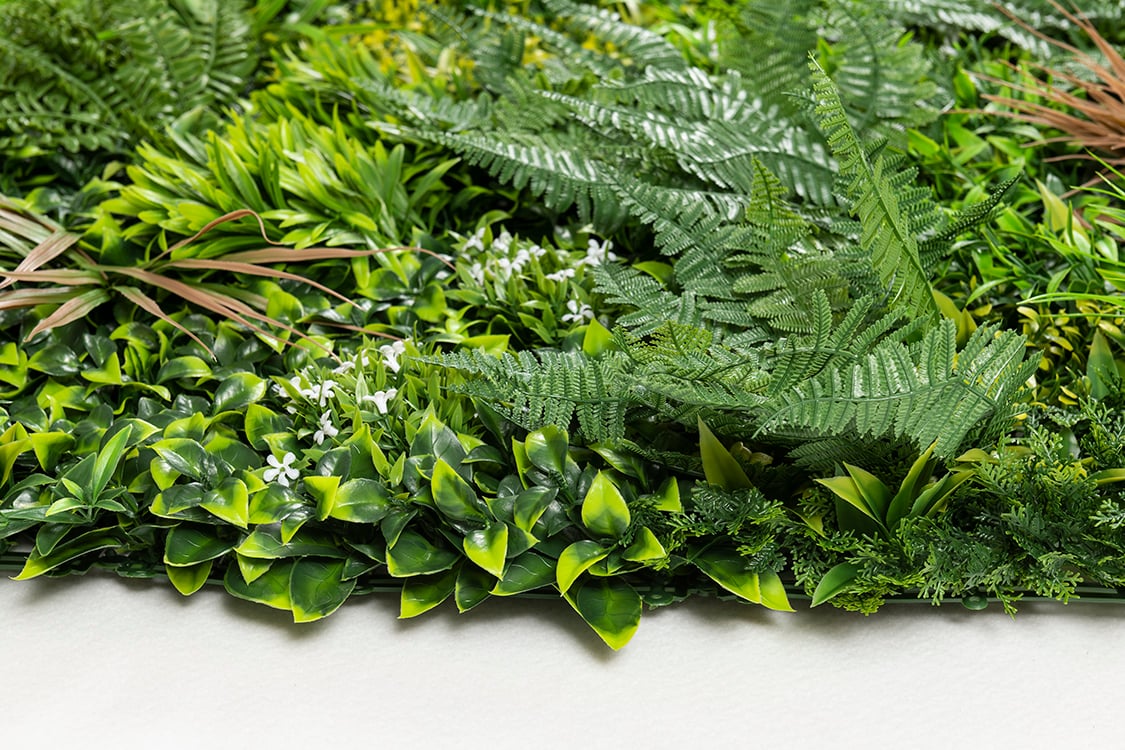 6-11-mz189023α1x1_1